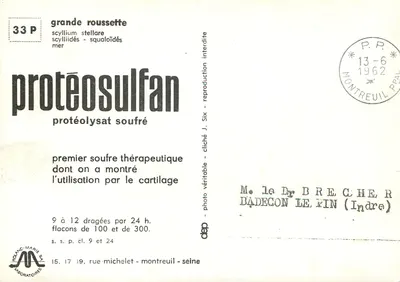 Grandes roussettes — Scyllium stellare — editor: Roland-Marie SA — Verso