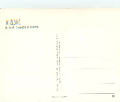Sous-bois em outono — Na Sologne — Edições Valoire, n° H.5.669 — Verso