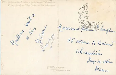 Alpenblumen - Flora alpina — Éditeur Gyger & Klopfenstein, n° 971912 — Rewers