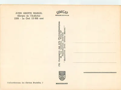 Esqueleto de cervo na caverna Marzal — Caverna Marzal, Ardèche — editor LUMICAP — Verso