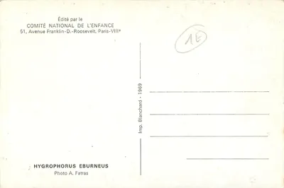 Champignons forestiers — Hygrophorus eburneus — Editado pelo Comité National de l'Enfance — Verso