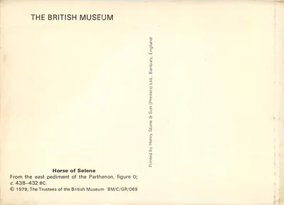 Głowa konia z Partenonu — szczegół konia Selene — British Museum — Rewers