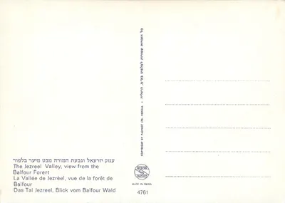 A Vale de Jezreel — vista da floresta de Balfour — PALPHOT LTD. n°4761 — Verso