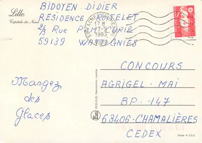 Promenada w LILLE — widok placu Bourse, fontanny Wiosny, muzeum Sztuk Pięknych i innych zabytków — wydawca nie widoczny — Rewers