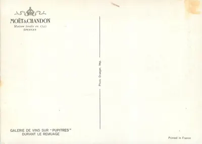 Galeryjka win w stojakach — Moët & Chandon — Épernay — Rewers