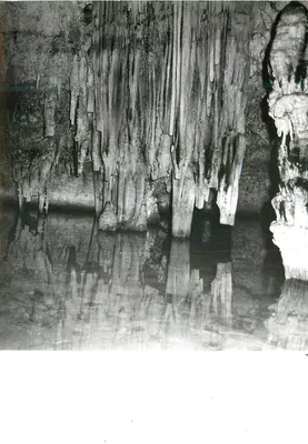 Jaskinia — stalaktyty i stalagmity odbijające się w spokojnej wodzie — Studio Francesco Marce