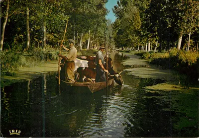 Marais Poitevin — Catedral da Verdura, transporte de animais para os pastos por uma estrada d'água — Edições CAP THEOJAC