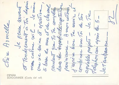 Kawalerowie w lesie oliwkowym — Sotogrande (Costa del Sol) — Tarjeta Postal — Rewers