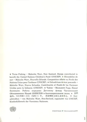 Ptaki morskie — Terny rybackie — Malcolm Warr, Nowa Zelandia — Rewers