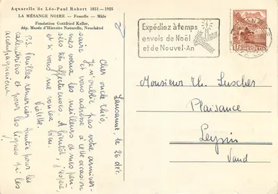 Srebrzysta kruk — Samiczka — Samiec — Akwarela Léo-Paula Roberta 1851-1925 — Fundacja Gottfrieda Keller, Neuchâtel — Rewers