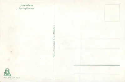Jérusalem — Flores de primavera — Verlag Uvachrom A.-G., München — Verso