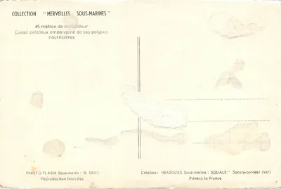 Coral wspaniały z wypiętymi polipami — kolekcja 'Cudowności podwodne' — Twórca: MASQUES Podwodne: SQUALE, Sanary-sur-Mer (Var) — Rewers