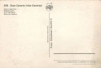 Nus na praia — Gran Canaria — Editor Brito, n° 376 — Verso