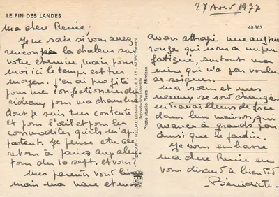 O Pinheiro das Landas — extração de resina — Foto estúdio Pierre - Mimizan, n°40.363 — Verso