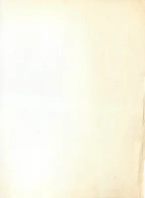 Imagem de Gato — Verso