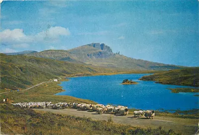 Sheep-driving at Loch Fada, Isle of Skye — J. Arthur Dixon Fotogravura, n°4584