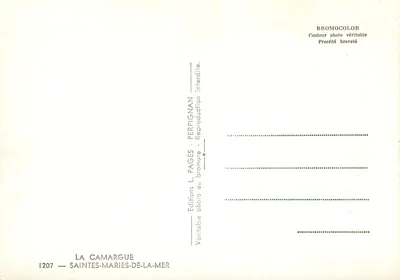Vues d'avion de Stes-Maries-de-la-Mer — éditeur PAP, n° 1207 — Verso