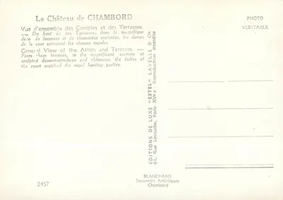 Castelo de Chambord — Vista geral dos tetos e das varandas — Estel — Verso