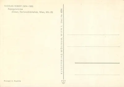 Tulipa amarilla doble — Tulipa lutea cernifolia H.R.Par. — Kunstverlag Wien, n° 6084 — Reverso