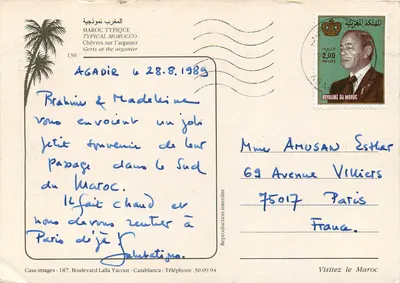 Kozy na drzewie arganowym — Maroko — Casa-images, n°130 — Rewers