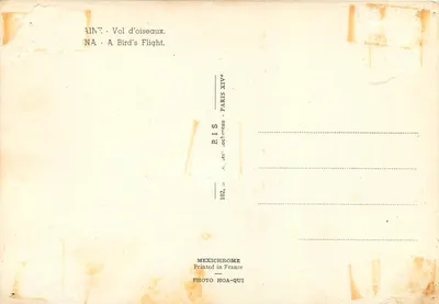Bilhete postal moderno Voo de pássaros — Verso