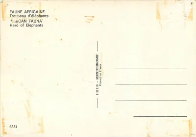 Stado słoni — Afryka — wydawca IRIS-MEXICHROME, nr 6651 — Rewers