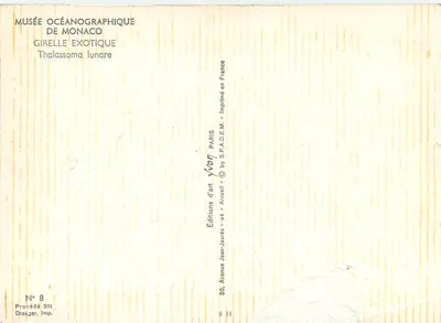 Blue Fish and Orange Coral — Oceanographic Museum of Monaco — Art Editions Yvon, No. 8 — Back