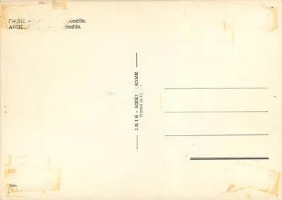 Cocodrilo — África — IRIS-MEXI, Roma — Reverso