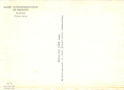 Platies — Oceanographic Museum of Monaco — Éditions Yvon — Back