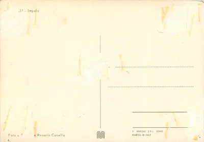 Impala — Afryka — wydawca P. Marzari S.R.L. Schio — Rewers