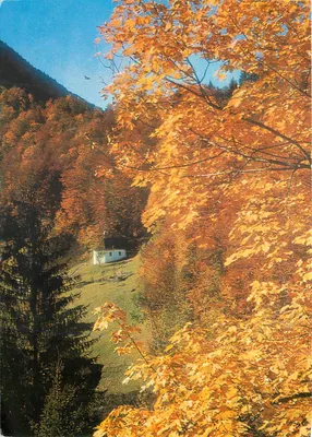 Outono na montanha — pequena casa isolada — Foto C. Schildknecht, Offsetdruck Wassermann AG Basel