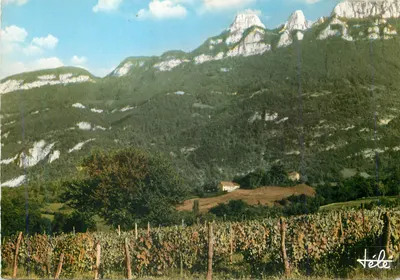 Os Rochos e a Dente do Gato — vista de YENNE (Savoie) — TEEZ