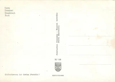 Silhueta de cervo em uma floresta de outono — edição Mexichrome, série BJ 149 — Verso