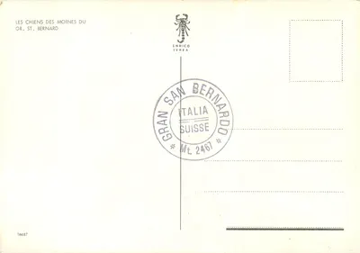 Dwa psy Saint-Bernard — zasneżona góra — Enrico Ivrea, n° 16687 — Rewers