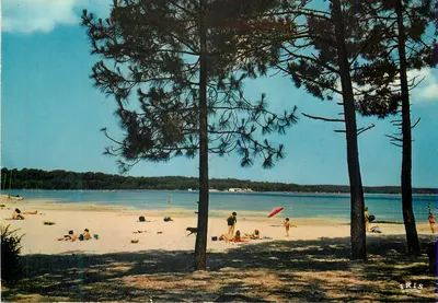 Biscarrosse (Landes) — A Praia de Navarrosse — Éditions Modernes Limoges