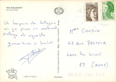 Bosque de Sologne — Un bosquecillo — Cini — Reverso