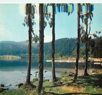 Lago de Longemer — Vosges — Éditions d'art Yvon