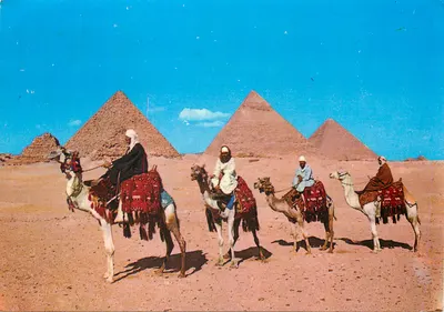 Gizeh - Cavaleiros árabes com camelos diante das Pirâmides — Editor: Dar Al-Tarbiya Al-Siyasiya