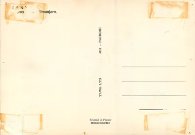 Żyraki przed góra Kilimandżaro — TAWS LTD, seria J611 — wydawca Nairobi — Rewers