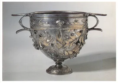 Alise-Sainte-Reine, Côte-d'Or — Taça com galhos de mirto — Museu das Antiguidades Nacionais, Saint-Germain-en-Laye