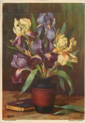 Arranjo de íris — pintura — M.B.&Z. / L. Buncéau