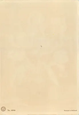 Arranjo de íris — pintura — M.B.&Z. / L. Buncéau — Verso