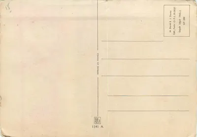 Bukiet cyklamów w koszyku — wydawca Mt. Barré & J. Doyez, n° 508 — Rewers