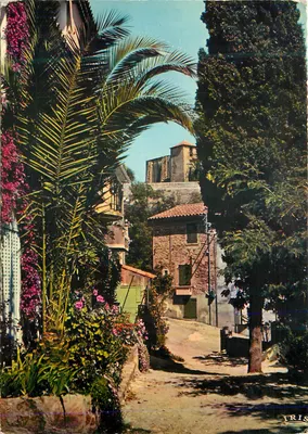Bormes-les-Mimosas — Encanto da Provência — Edições La Gigogne, série 83.019.01