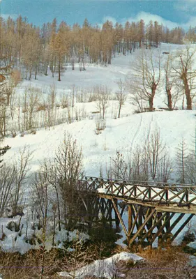 Paisagem invernal com ponte de madeira — Imp. G. Beugnies & Cie, Cusmes