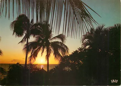 Pôr do sol — África em cores — editor IRIS, n° 7368