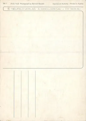 Arranjo de flores — margaridas e tulipas — fotografia de Bernard Baudet, editor Neufeld Verlag — Verso