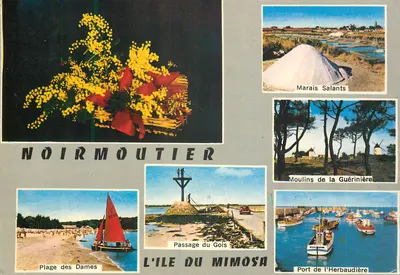 Noirmoutier — A Ilha do Mimosa — editor Artaud Frères, Nantes-Carquefou