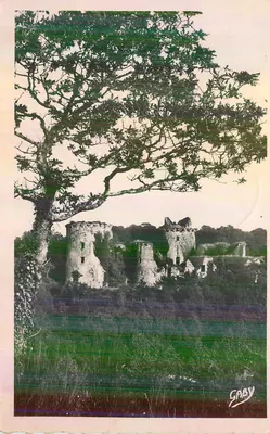 Castelo de Tonquédec — Arredores de LANNION (C.-du-N.) — Edições GABY