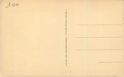 Strasbourg — Pałac na Rzecze Ren i katedra — Spółka Sztuki Fotomechanicznej — Rewers